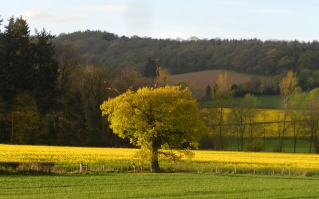 Comfy 4m -bed Bell Tent With Great Views