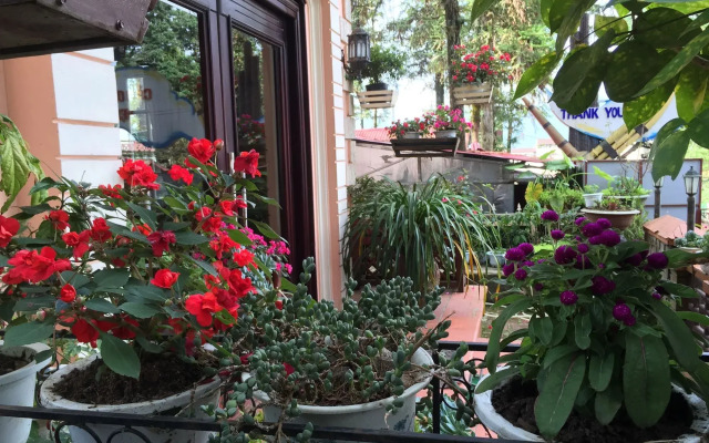 Thai Binh Sapa Hotel