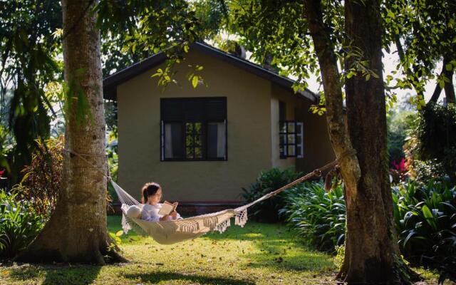Green Mansions Jungle Resort