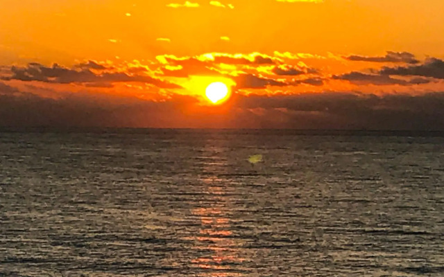 Ocean View Apartments