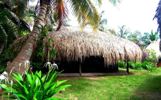 Ecohotel Las Palmeras