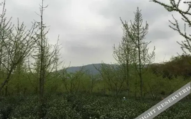Wangshan Yuanming Nongjia Inn