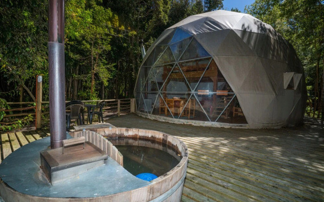 Cabanas Ensenada Bosque Nativo