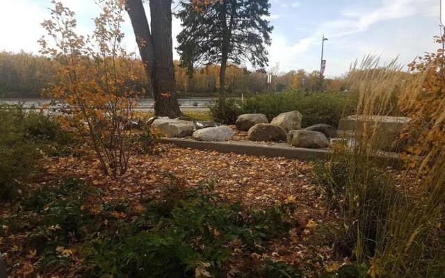 Cozy 1-BDR Suite #20 by Amazing Property Rentals