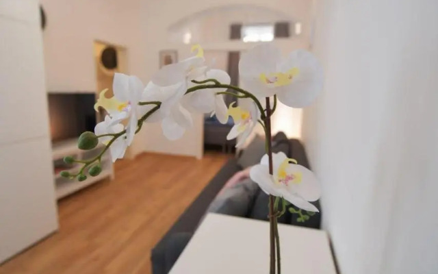 Duplex Apartment