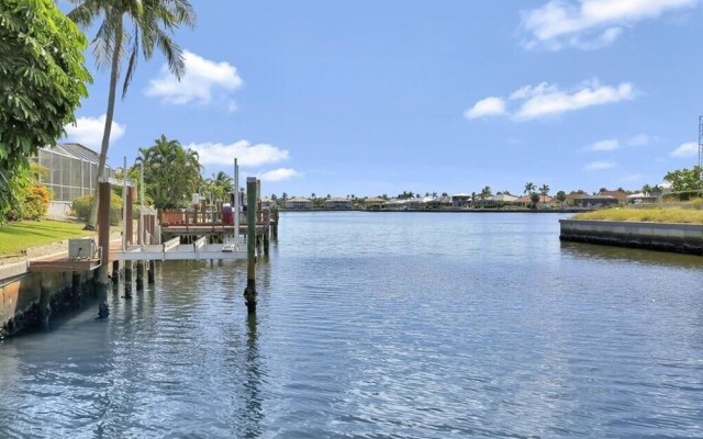 Bald Eagle Home #62266