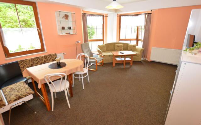 Snug Apartment in Jachymov near Ski Area