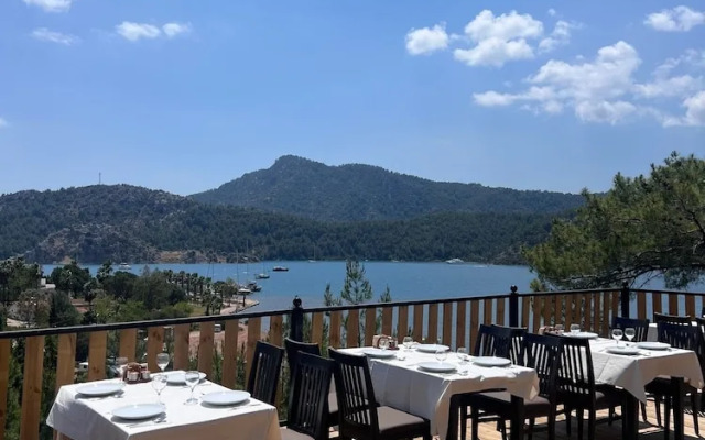 Teras Orhaniye