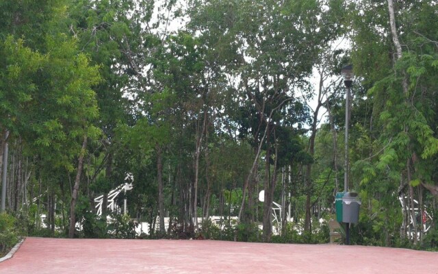 Belania 304 By Perlitas Home