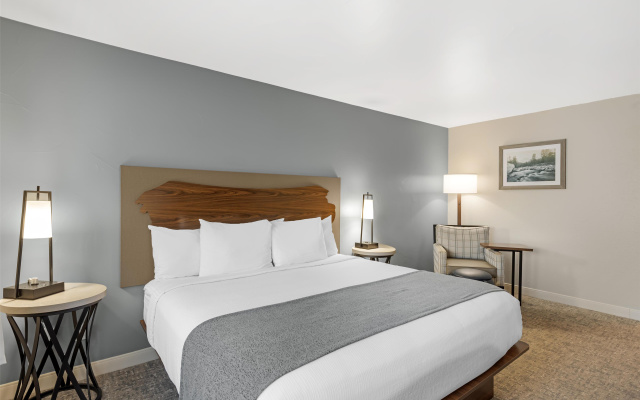 Best Western Vista Inn