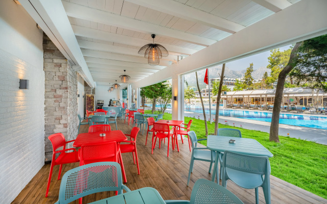 Seven Seas Gravel Select Kemer