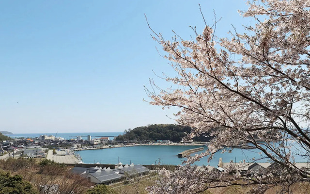 Oginoyu