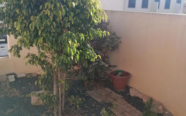 O DRAGOEIRO da Madalena!