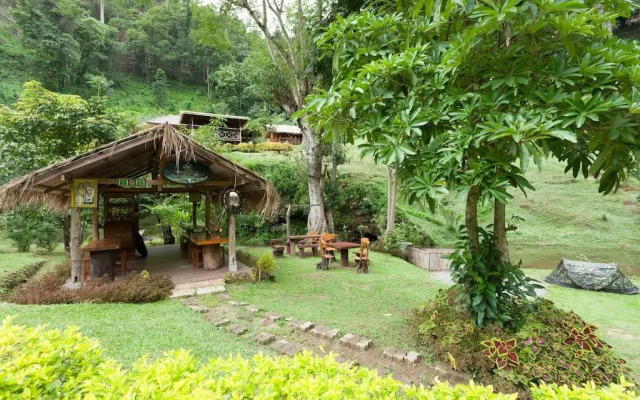 Dreamcaught tree houses