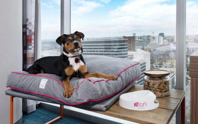 Aloft Austin Downtown