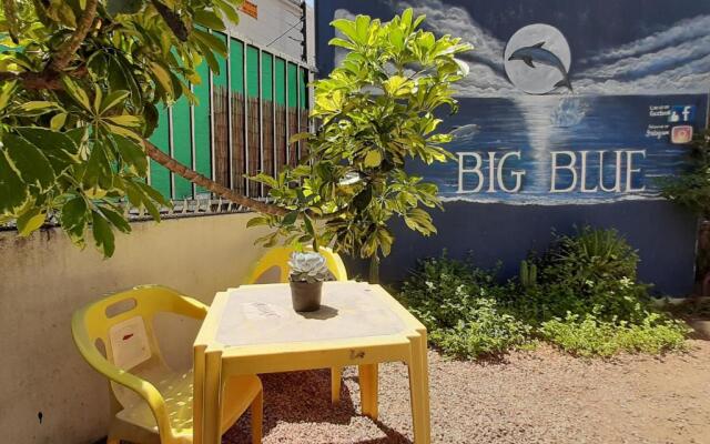 Big Blue Backpackers Lodge