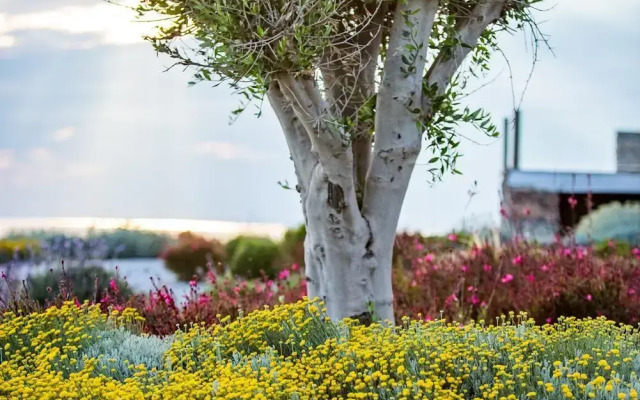 Vathi Bleu Private Villas