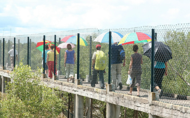 Sunderban Tiger Camp