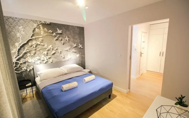 City Center Comfort Suite LuxuryStandard