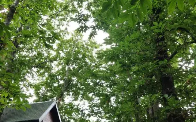 Matilde's Chalet Etna Nature House