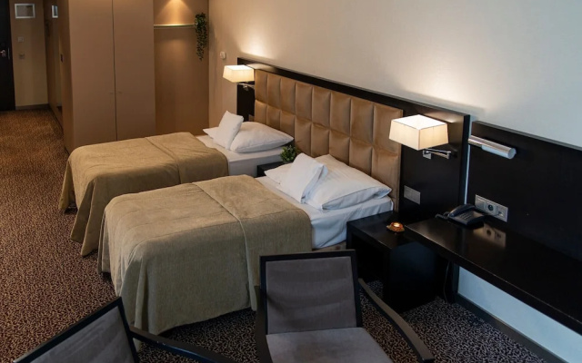 Business Double room (full double bed) (bed type is subject to availability)