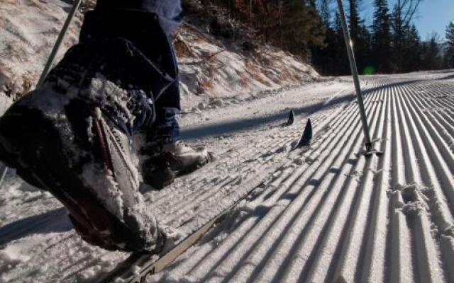 Gościniec Pod Czeremchą