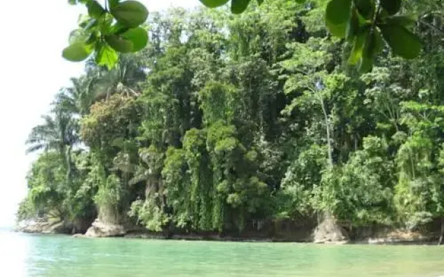 El Tucan Jungle Lodge