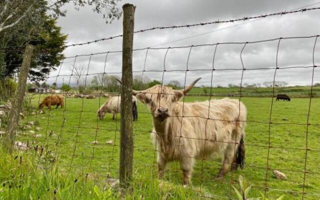 Hendy Cottage Pwllheli