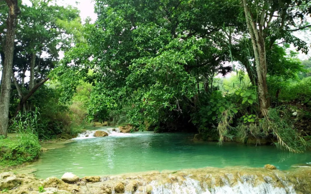 Room in Cabin - Cabanas Sierraverde Huasteca Potosina Highland Cabin