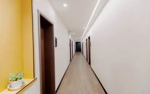 Snails Hostel