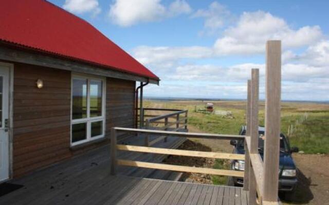 Seaview in west iceland