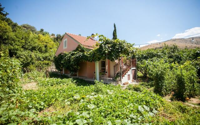 House With Large Garden, Right Next to the River