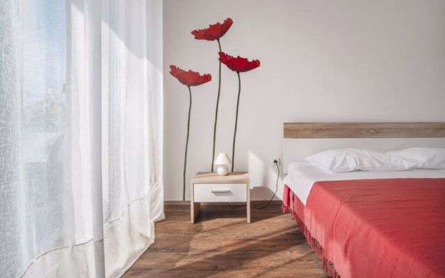 Apartment Olivo Novigrad (Istra) 22036