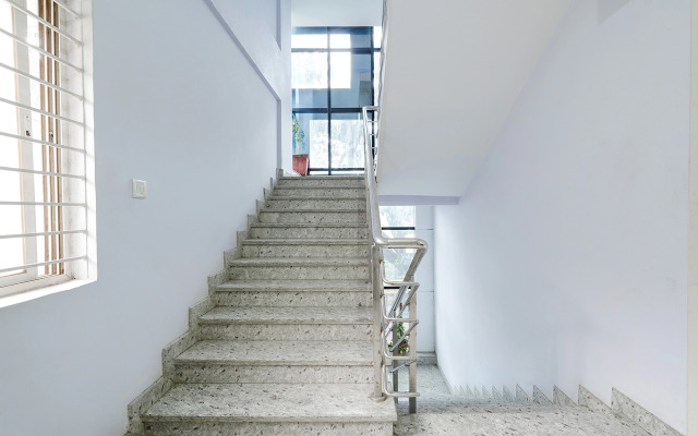 Fabexpress Lutino Homes