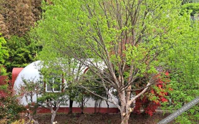 Damyang Firefly Pension