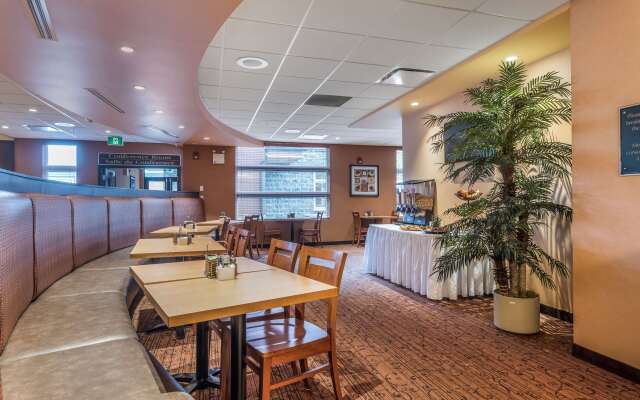 Best Western Plus Bathurst Hotel & Suites