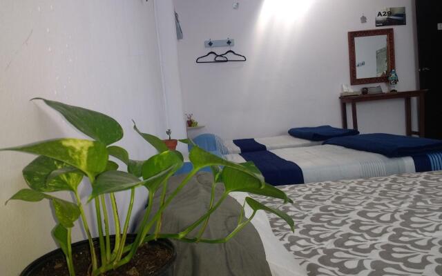 Casa A29