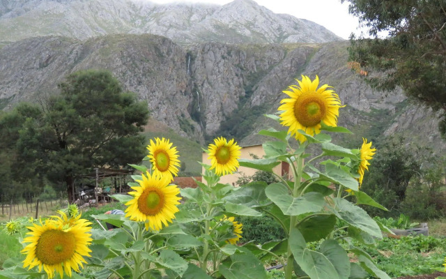 Swartberg Backpackers