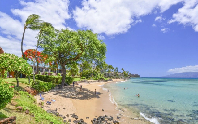 Kuleana 313 - 1Br Condo