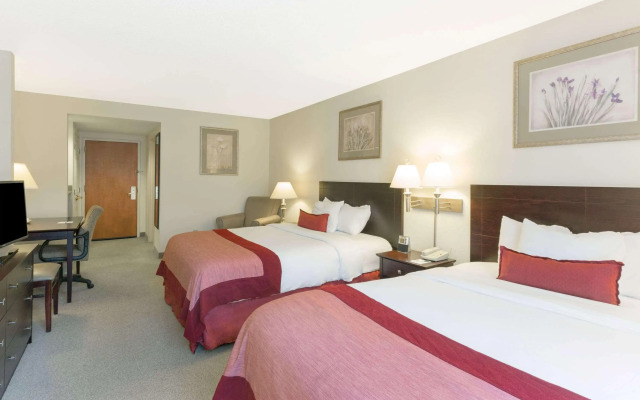 Spark by Hilton Tupelo