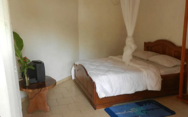 Hotel Tara Plage