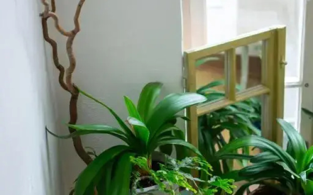 Hostel Moravia Ostrava