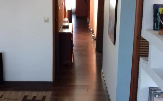 El descanso del viajero