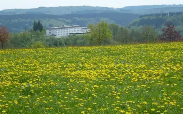 Hotel Wartburg Winterberg