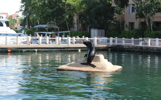 Baru Puerto Aventuras