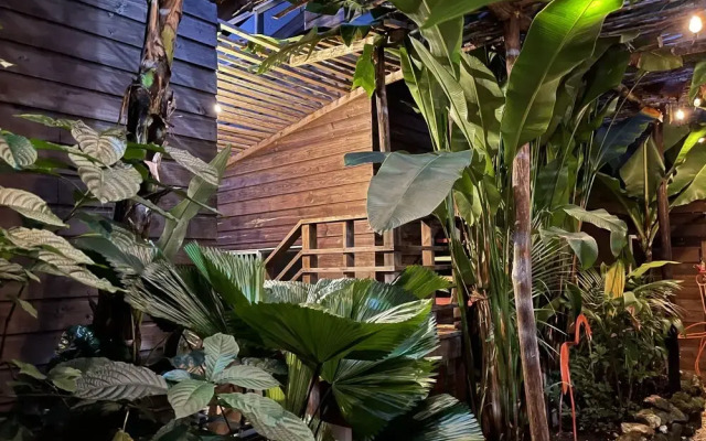 Wild Coffee Retreat - Adults Only
