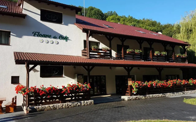 Pensiunea Floare De Colt