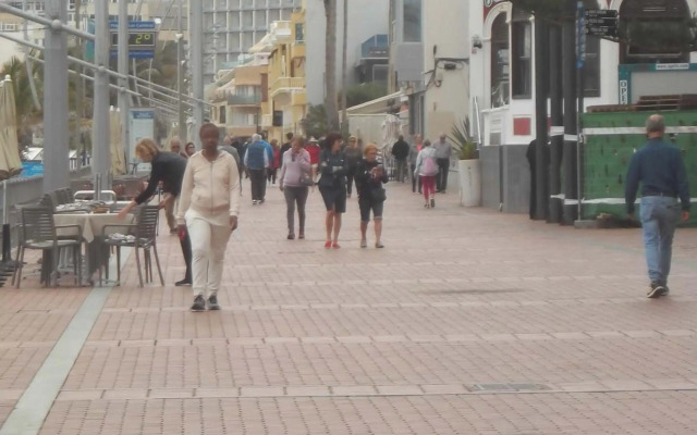 Sansofé Vivienda Estudio