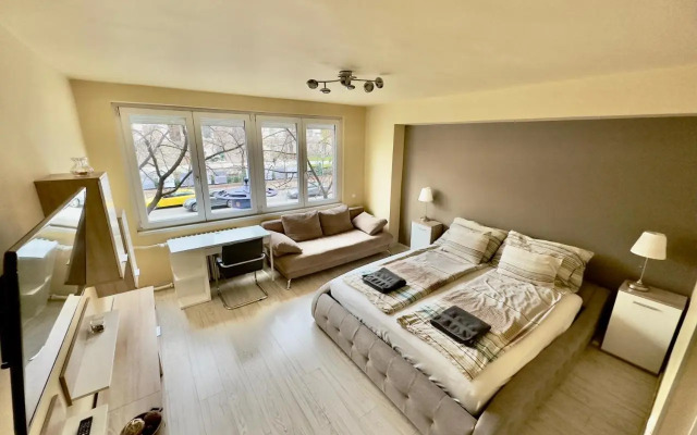 Brand new apartment in the center