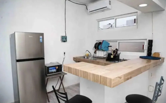Studios erizo